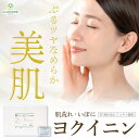【LINE追加で最大500円オフ】第3類医薬品 ヨクイニン 美容 皮膚あれ 吹き出物 皮膚炎 いぼ 薏苡仁 はとむぎ ハトムギ 漢方 漢方薬 エキ...