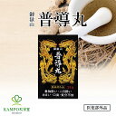 楽天漢方とセルフケアのKAMPO松栄堂普導丸 ふどうがん 20粒入×24包 黒パッケージ めまい 気分不快 悪心嘔吐 吐き気 乗り物酔い 二日酔い 予防 防止 口臭 胸つかえ 暑気あたり胸焼け げっぷ 更年期 漢方 丸剤 サプリ サプリメント 日野製薬 百草丸でおなじみ日野製薬 医薬部外品