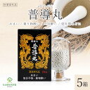 【LINE追加で最大500円オフ】普導丸 ふどうがん 丸剤 20粒×24包 5箱 ゆらぎ世代 めまい 気分不快 嘔吐 吐き気 乗り物酔い 乗物酔い 二日酔い 予...