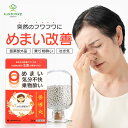 【LINE追加で最大500円オフ】 めまい 立ちくらみ に 普導丸 ふどうがん 20粒×24包 漢方薬 眩暈 目眩 ふらつき 丸剤 嘔吐 吐き気 乗り物酔い 二...