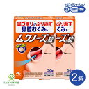【LINE追加で最大500円オフ】第2類医薬品 ムクノーズ 錠 36錠 ×2個 2個セット 小青竜湯 アレルギー性鼻炎 花粉 鼻水 鼻づまり くしゃみ 鼻腔のむ...