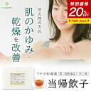 【期間限定2200円→1760円&LINE追加で最大500円オフ】 第2類医薬品 当帰飲子 煎じ薬 お試し5袋(5日分)・30袋入(30日分) ウチダ和漢薬 ト...