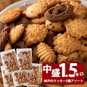 【訳あり】　神戸　クッキー　300g