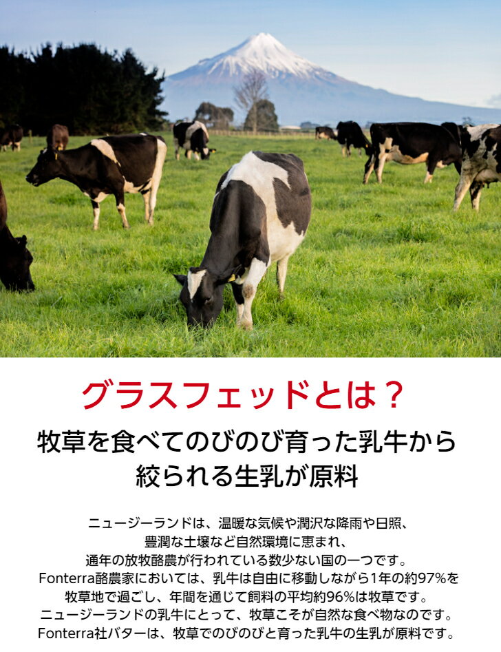 フォンテラ社・グラスフェッドバター加塩454g×2個賞味期限2022年12月20日【数量限定・特別価格】＜冷凍発送＞【冷凍品・冷蔵品・常温品との同梱はできません】業務用 正栄 グラスフェッドバター バターコーヒー NZ 放牧プロ仕様 バターシェアNo.1