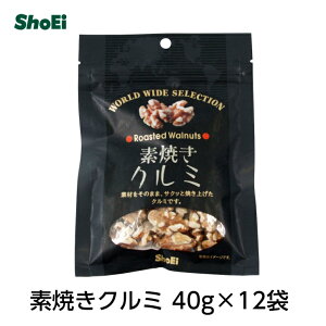 素焼きローストクルミ 48g×12袋国内工場 国内製造 国産 くるみ 胡桃 オメガ3 オメガ3脂肪酸 無添加 素焼き ロースト 塩・油不使用 ノンオイル 食物繊維 カリウム 鉄 不飽和脂肪酸 ミネラル ロカボ チャック 小袋 正栄 小分け 正栄食品 正栄食品工業 shoei