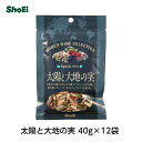 太陽と大地の実 40g×12袋国内工場 国内製造 ひまわりの種 かぼちゃの種 アーモンド クコの実 松の実 ブルーベリー 食物繊維 カリウム 鉄 ビタミンB1 ビタミンE 不飽和脂肪酸 ミネラル ジッパー チャック