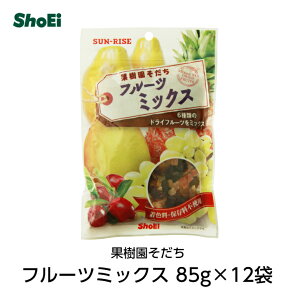 果樹園そだち フルーツミックス 95g×12袋国内工場 国内製造 食物繊維 パウンドケーキ お菓子作り パン作り オートミール シリアル ヨーグルト 業務用 レーズン クランベリー パイナップル パパイヤ マンゴー 保存料不使用 着色料不使用 正栄 正栄食品 shoei