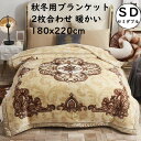 【送料無料】ブランケット 掛け毛布 厚手 暖かい 宮廷風 高級感 180x220cm セミダブル ダブル ひざ掛け フランネル なめらか ふんわり 秋冬 大判 毛布 あったか 可愛い 昼寝 膝掛け 洗濯可 掛け布団 おしゃれ 旅行 車中 オフィス ベッドシーツ プレゼント ギフト 抗菌防臭