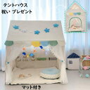 【お得な3点 送料無料】子供テント プリンセス城型 キャッスル テント+ マット +カーテン 可愛い クリスマス お誕生日プレゼント 通気性抜群 虫よけ 女の子 プレイハウス 子供部屋 キッズテント 睡眠テント 出産祝 キッズテント おもちゃ 知育玩具 隠れ家 創造力 こどもの日