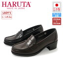 n^ HARUTA 4603 fB[X [t@[ q[4.5cm wC w ʊw { n^4603 ubN  W}CJy ꗣz yy zz