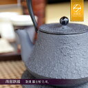 南部鉄器 鉄瓶 急須 富士桜 0.4L 茶こし付 日本製 金気止め きゅうす 南部鉄瓶 やかん 南部 鉄 鉄分 補給 ヤカン ティーポット おしゃれ 工芸品 コーヒー お茶 オシャレ 鉄器 贈り物 プレゼント ギフト 鉄分補給 かっこいい ケトル 富士山 急須 茶瓶 ホーロー 鉄急須