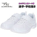 【送料無料】 アキレス 瞬足 シュンソク レモンパイ スニーカー 【LJ787】 キッズ ジュニア 女の子 上履き 運動靴 子供靴 通学靴 マジックテープ 真っ...