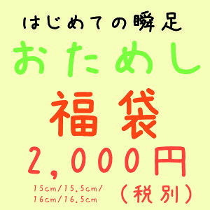 はじめての瞬足 おためし福袋 アキレス 瞬足 瞬足レモンパイ 男の子 女の子 キッズ 通園 お買い得 15cm 15.5cm 16cm 16.5cm □otameshi_fuku□