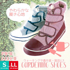 https://thumbnail.image.rakuten.co.jp/@0_mall/shoes-bridge/cabinet/ladys/ladies3/cke-1.jpg