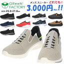 yyzGReeNFACTORY O[t@Ng[ Y V[Y jp ǂł3000~y3000GF6z Xj[J[ am GF6 3000gf6 ܂