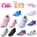 再入荷!瞬足 福袋 女の子用 同サイズ 2足セット キッズスニーカー キッズ福袋 ガールズ