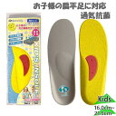 メール便発送 アシマル ジュニア キッズ キッズインソール シューケア用品 子供 インソール 中敷 サイズ調整 男女兼用 通気抗菌 重ね敷き ASHIMARU ...