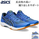 AVbNX Y ROTE JAPAN LYTE FF 3 C V[Y o[{[ Z   asics 1053A054