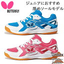 o^tC Y fB[X ]C JL 2 싅 Z C V[Y  R [Jbg sN  Butterfly 93650