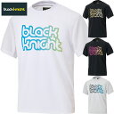 ブラックナイト メンズ レディース ドライTシャツ バドミントン ウェア 競技 Tシャツ 部活 練習 トレーニング 吸汗 速乾 UVケア 半袖 ホワイト 白 ブラック 黒 グレー 灰色 送料無料 black knight T-5101U(4)