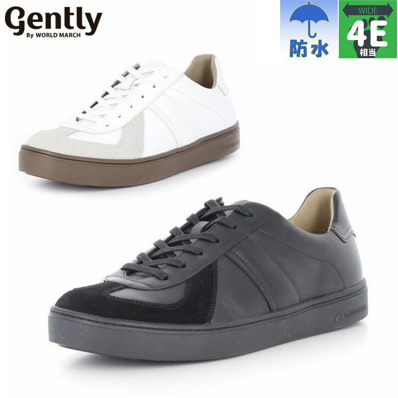 4E  磻 ȥ꡼ ɥޡ  GE106 ȥ ˡ  塼 ܳ ׷ Ʃɿ  ɽ ۥ磻 ...