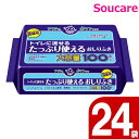 日本製紙クレシア アクティ 楽ケア トイレに流せるたっぷり使えるおしりふき 100枚×24袋 （306750） おしりふき 介護 清拭用品