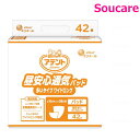 大王製紙 アテント 昼安心通気パッド 多いタイプ ワイドロング42枚×1袋 紙おむつ 介護 パッド