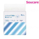 大王製紙 アテント ふだんの下着に使えるパッド 300mll 24枚×1袋 紙おむつ 介護 パッド