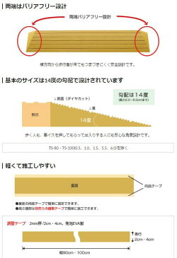 シンエイテクノ 段差解消スロープ　室内用　タッチスロープ　TS100-25　高さ2.5cm×幅100cm　勾配14度 【介護用品】住宅建材/リフォーム資材/バリアフリー/DIY/介護用住宅改修/歩行/転倒予防/敷居/建具/床/高低差/車いす/段差解消スロープ【通販】