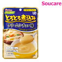 介護食 ハウス食品 やさしくラクケア とろとろ煮込み クリームシチュー味 80g 単品販売 食事 食事サポート 手軽 栄養補助 介護食 おかず 区分4 かまなくてよい