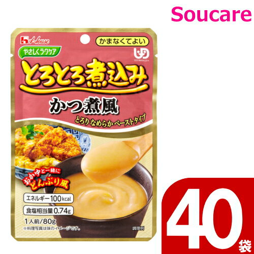 介護食 ハウス食品 やさしくラクケア とろとろ煮込み かつ煮風 80g 40袋 食事 食事サポート 手軽 栄養補助 介護食 おかず 区分4 かまなくてよい 1