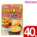 介護食 ハウス食品 やさしくラクケア とろとろ煮込み かつ煮風 80g 40袋 食事 食事サポート 手軽 栄養補助 介護食 おかず 区分4 かまなくてよい