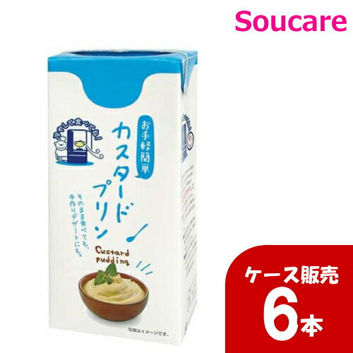 楽天介護用品　介護食品　爽ケア林兼産業 パックデザート カスタードプリン 1050g ケース販売6本 大容量 紙パックスイーツ 栄養補助 栄養補給 たんぱく質 常温保存可能 施設 グループホーム おやつ