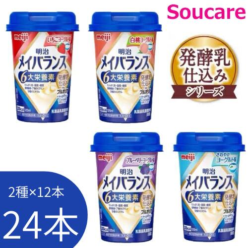選べる2種類×12本 (24本) 発酵乳 仕込み シリーズ メイバランス Mini カップ 125ml 明治