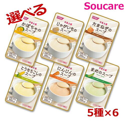 介護食 ホリカフーズ 栄養支援スープ 選べるセット 5種×6個 合計30個 200mL 食事 食事サポート 手軽 栄養補助 介護食 流動食 スープ 汁 栄養補助 栄養補給