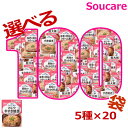 キューピー やさしい献立 お好みで選べる 歯ぐきでつぶせる 100袋セット 5種×20袋 区分2 歯ぐきでつぶせる 食事 食事サポート防災 常温 手軽 栄養補助 介護食 やわらか食 柔らかい お好きな味