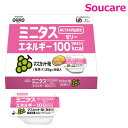 日清オイリオグループ ミニタス エネルギーゼリー マスカット味 1個25g 9個入り 単品販売 MCT 中鎖脂肪酸 たんぱく質0 防災 備蓄 常温 保存 手軽 エネルギー 栄養補助 栄養補給 舌でつぶせる(区分3)(4)