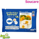介護食 ムース食 冷凍 ムーミーくん おかず いかの中華あん 単品 ムース食 区分3 舌でつぶせる ミキサー食 刻み食 嚥下食 やわらかい食事 送料無料 日本ケアミール 朝 昼 晩 介護食
