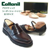 Хͼ塼ȥ꡼˥ Collonil ޥƥåѡ ŷ å 塼ĥ꡼ 塼ѡ  ѥץ ɻ 