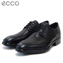 エコー ECCO CITYTRAY Plain 512734 01001 ブラック（メンズ）上質レザーのビジネスシューズ プレーントゥ レースアップ「靴」