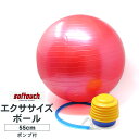 エクササイズボール 55cm レッド フットポンプ付 ソフタッチ バランスボール 腹筋 体幹トレーニング ボディケア フィットネス エクササイズ トレーニング ...