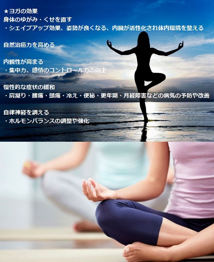 あす楽 速攻配達 ヨガマット トレーニングマット 170cm×60cm ストレッチマット エクササイズマット ピラティス ダイエット 器具 マット ヨガ ストレッチ エクササイズ トレーニング 軽量 腹筋 おなか周り 初心者 上級者 7990662格安セール情報　楽天　通販