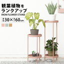 プランタースタンド おしゃれ ゴールド 花台 観葉植物 北欧 棚 おしゃれ スタンド ラック 高さ60 台 鉢置き フラワースタンド 台 スタンド 置き台 屋内 室内 玄関 植木鉢 アイアンスタンド ラック インテリア ディスプレイ アイアン fnt57【P】