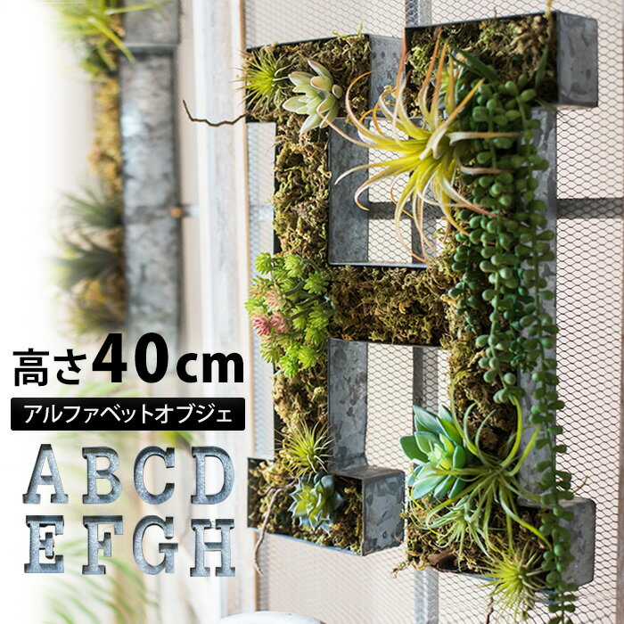 プランター ブリキ 壁掛け 多肉植物寄せ植え アルファベット オブジェ 40cm 大きい インテリア 雑貨 イニシャル 英語 オブジェ 大文字 アイアン パーツ ローマ字 デコレーション DIY フラワーポット 置物 結婚式 ウエルカムボード 切り文字 ギフト 送料無料 int56【P】[□]のサムネイル