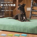 クッション（ペット用） 犬 ベッド 春夏 おしゃれ 猫 ペットベッド ペットクッション 大きい 64cm 洗える 犬ベッド 猫ベッド 犬ベット ふわふわ ペットベット 犬用 猫用 布団 無地 ふとん かわいい ペット用 ペットマット 分厚い 滑り止め 小型犬 pet-281【P】