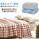 カラ 涼しげ 軽量 通気性 吸水性 葉柄 チェック柄 ワイド 大判 150x200 3重ガーゼケット チェック柄 ブランケット タオルケット