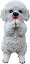 (ビションフリーゼ) 最適なプレゼント ギフト インテリア ガーデンオーナメント レジン製 お願いドック 犬の置物(3)