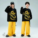 ヒップホップ カーゴパンツ イエロー 長袖トップス hiphop k-pop 韓国 チアガール チア 男の子 女の子 セットアップ ダンス衣装