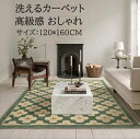 洗濯機可 取り扱い簡単 マット 夏用 冬用 新生活 引っ越し ギフト 祝いプレゼント rug 絨毯 じゅうたん 滑り止め おしゃれ リビング 寝室 高級感 モダ...