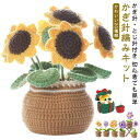 & 説明書 針 かぎ針糸 かぎ針編みフック 手芸キット 手作り 用 初心者 花 かわいい 編みぐるみ かぎ針編みキット かぎ針セット